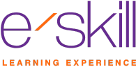 e-skill logo